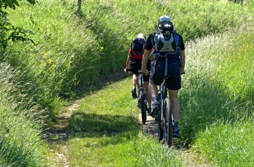 Teknologi på to hjul: De seneste mountainbike-opgraderinger