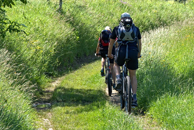 Teknologi på to hjul: De seneste mountainbike-opgraderinger