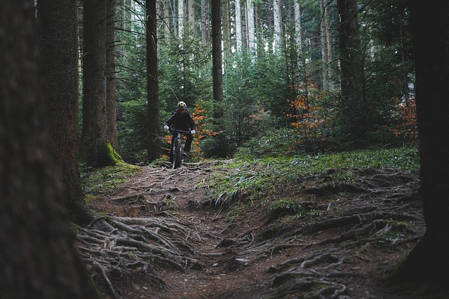 Adrenalinsus i alperne: Din guide til mountainbike-eventyr i serre chevalier